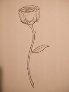 rosesketch